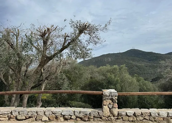 Daire Piscina-costa Smeralda, Loft Immerso Nella Natura Sole Ruiu