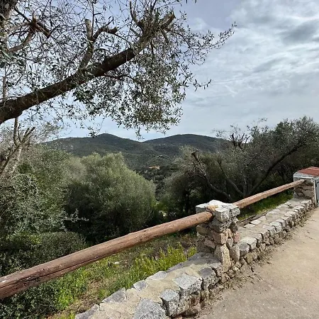 Piscina-costa Smeralda, Loft Immerso Nella Natura Sole Ruiu